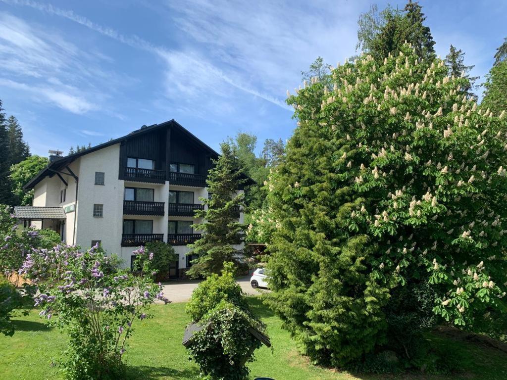 Landhaus Am Forst Bad Alexandersbad Eksteriør billede