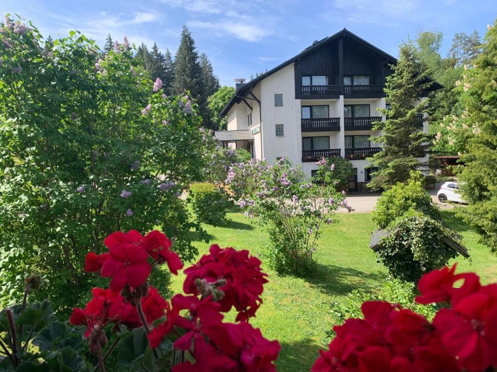 Landhaus Am Forst Bad Alexandersbad Eksteriør billede