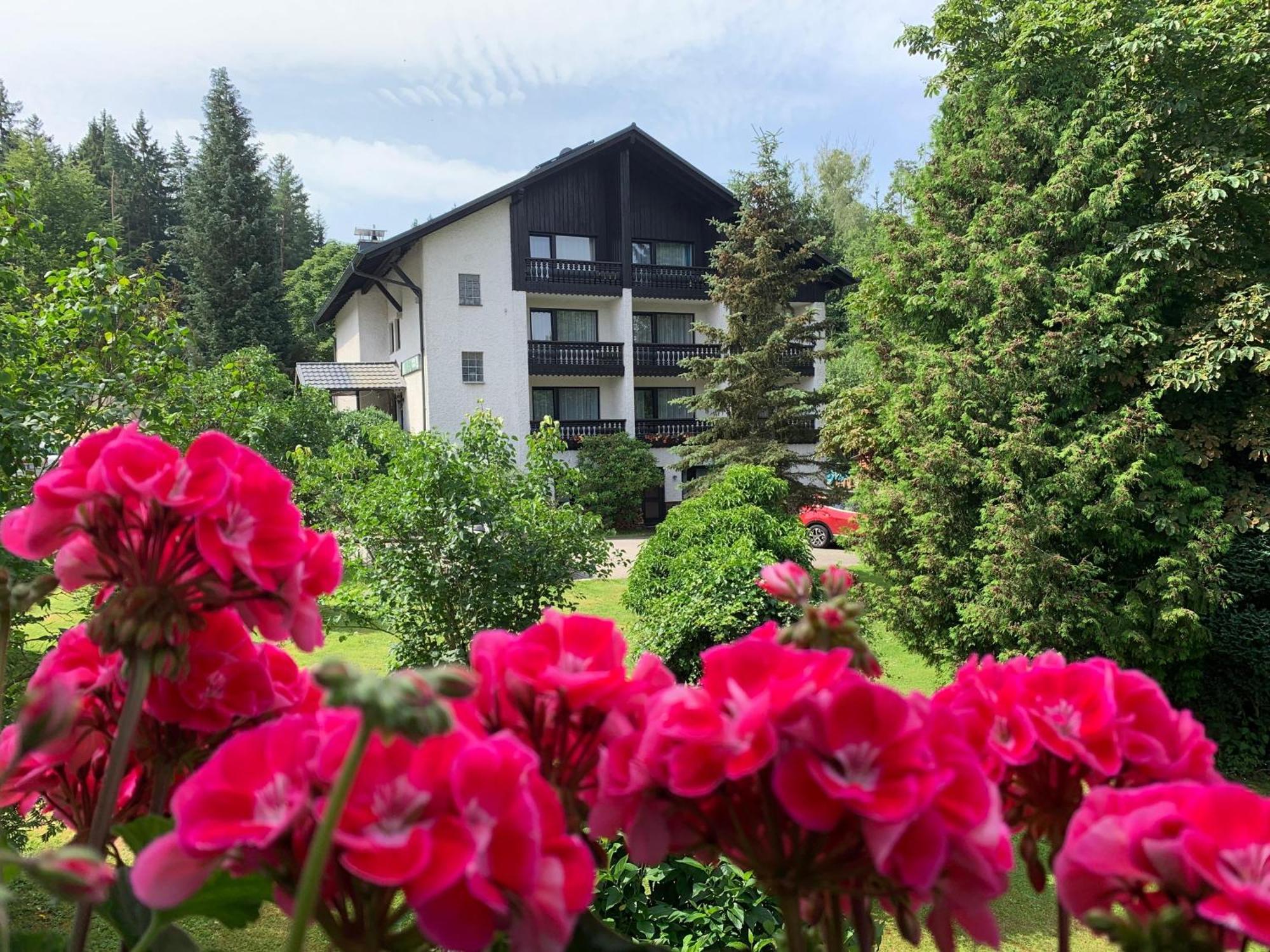 Landhaus Am Forst Bad Alexandersbad Eksteriør billede
