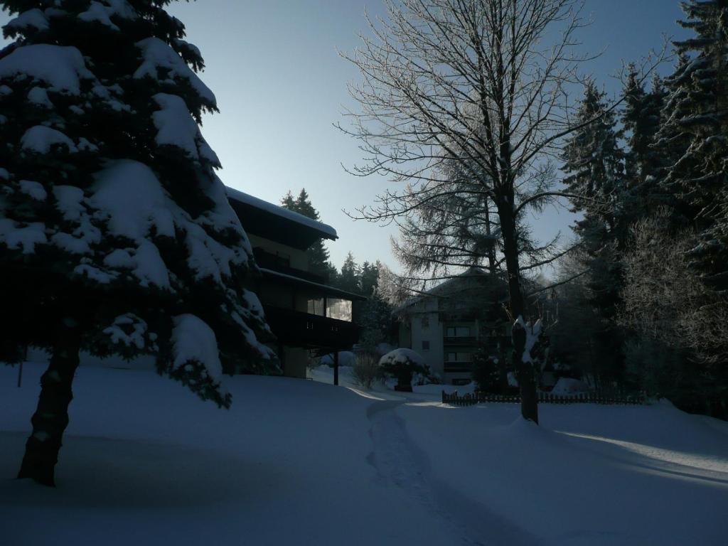 Landhaus Am Forst Bad Alexandersbad Eksteriør billede